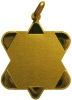 Medaglia Artica in Oro